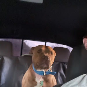 Meet your Posher, Cory